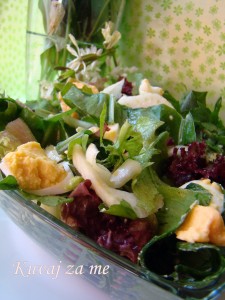 Livadska salata